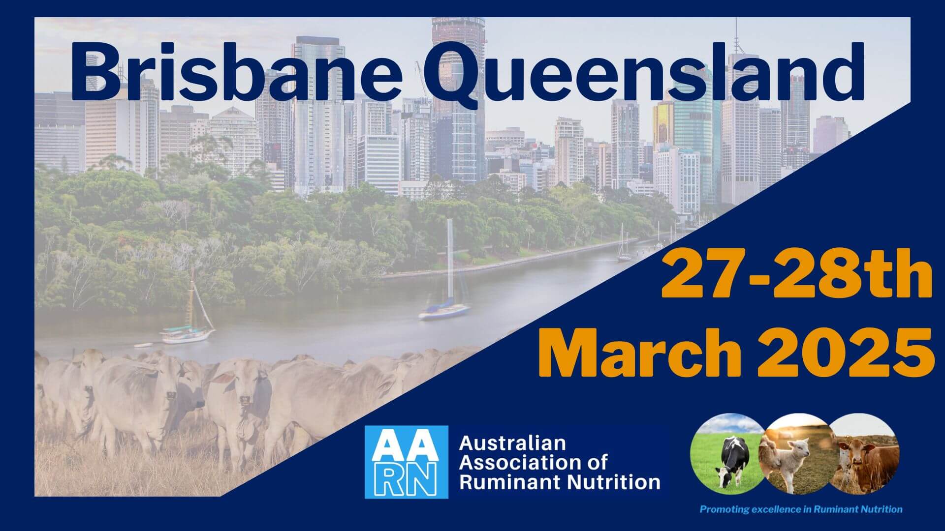 AARN queensland (1)
