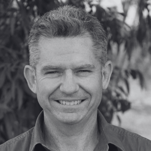simon q